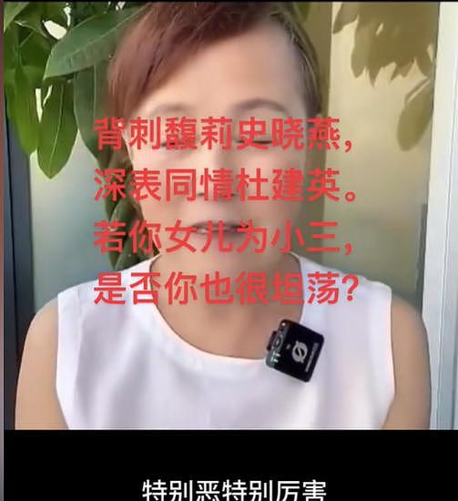 史晓燕炮轰宗馥莉后，底裤被扒，私生活太炸裂，评论区已沦陷（组图） - 4
