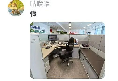 【爆笑】“5年没回家听说自己被枪毙了…？”哈哈哈村里传的谣言太离谱（组图） - 64