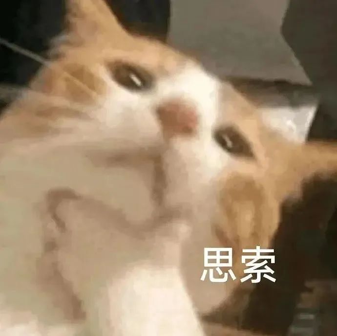 【宠物】走丢2个月的猫被找到时胖了一圈，主人开心地想接猫回家，猫全程冷漠：坏了，穷亲戚找上门了...（组图） - 1