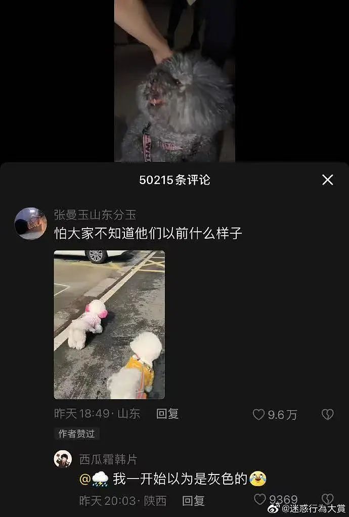 【爆笑】“新娘怀疑化妆师会勾引她老公...?”哈哈哈人在无语的时候真的会笑(组图) - 51