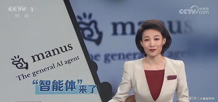央视夸完就叛逃！裁员、清空、屏蔽，中国顶级AI公司出走国外（组图） - 5