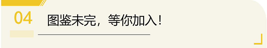 10年前的留子穿搭火爆小红书,老留子看哭了:青春很美(组图) - 28