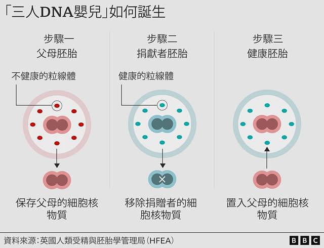 英国成功结合三人DNA诞生婴儿，截断遗传病传播（组图） - 2