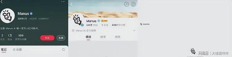 央视夸完就叛逃！裁员、清空、屏蔽，中国顶级AI公司出走国外（组图） - 12