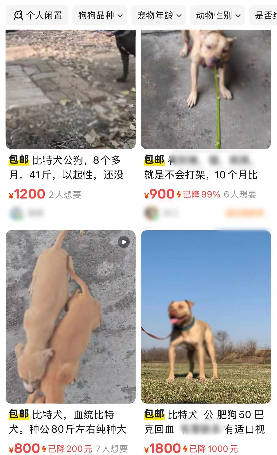 揭秘东北地下斗狗市场：胜了是狗王，输了是狗肉（组图） - 6