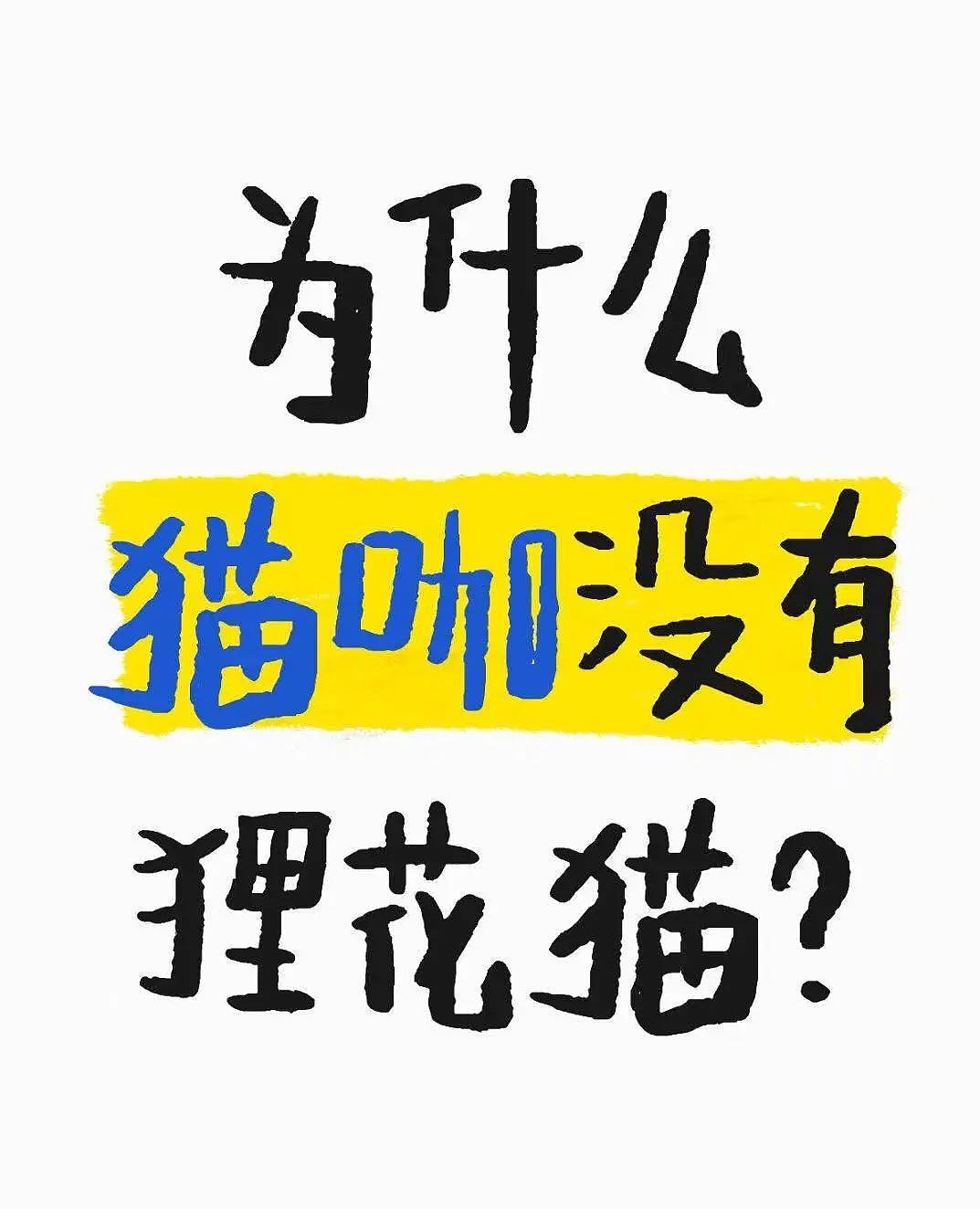 【爆笑】“5年没回家听说自己被枪毙了…？”哈哈哈村里传的谣言太离谱（组图） - 71