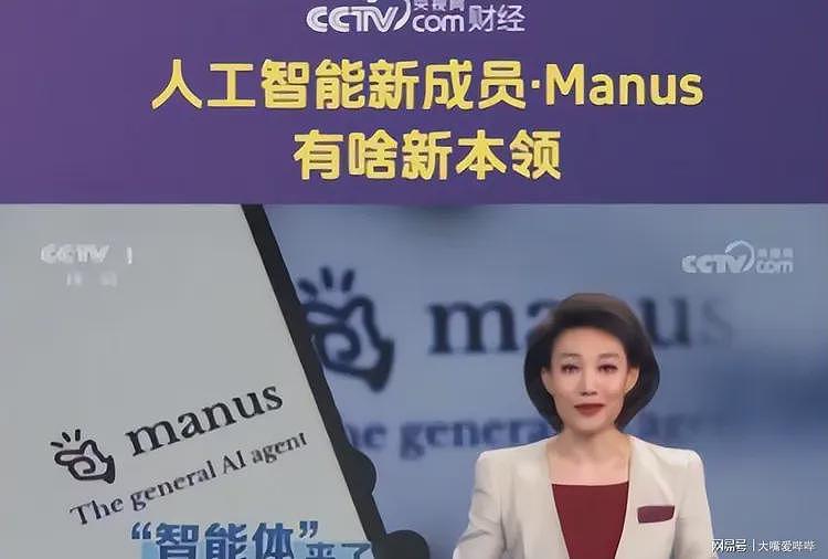 央视夸完就叛逃！裁员、清空、屏蔽，中国顶级AI公司出走国外（组图） - 19