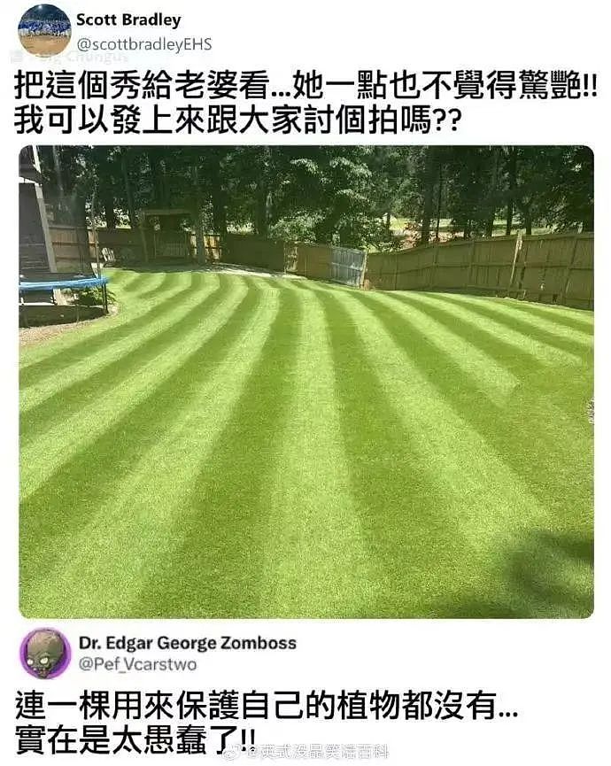 【爆笑】“5年没回家听说自己被枪毙了…？”哈哈哈村里传的谣言太离谱（组图） - 85