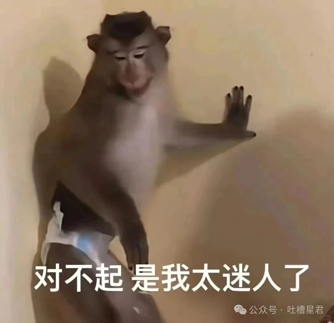 【爆笑】“新娘怀疑化妆师会勾引她老公...?”哈哈哈人在无语的时候真的会笑(组图) - 96