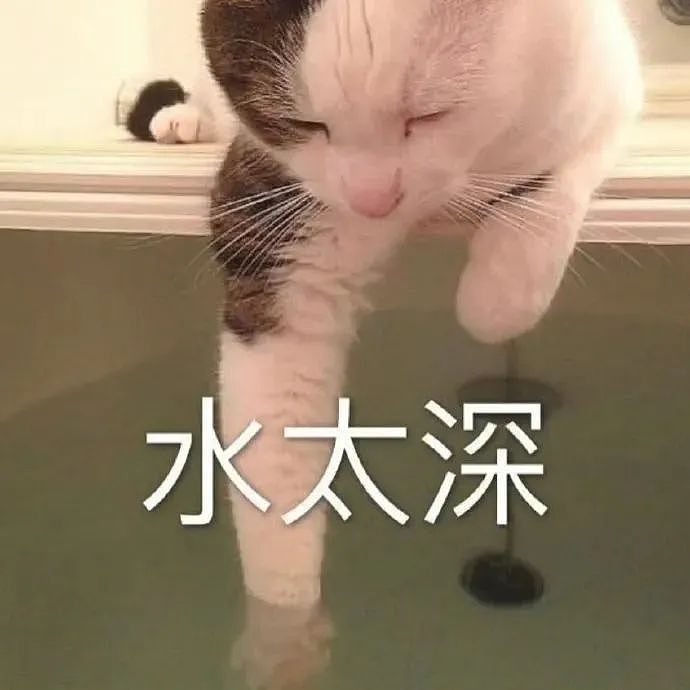 【宠物】走丢2个月的猫被找到时胖了一圈，主人开心地想接猫回家，猫全程冷漠：坏了，穷亲戚找上门了...（组图） - 5
