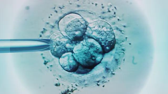 英国成功结合三人DNA诞生婴儿，截断遗传病传播（组图） - 3
