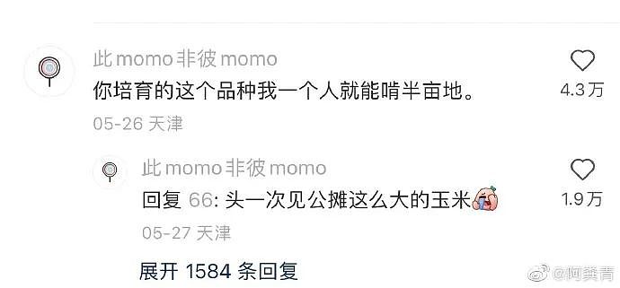 【爆笑】“新娘怀疑化妆师会勾引她老公...?”哈哈哈人在无语的时候真的会笑(组图) - 42