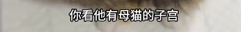 【爆笑】在医院检查出雌雄同体后,被全网心疼了?一开始只关心生理结构,下一秒:这得绝育2次...(组图) - 2