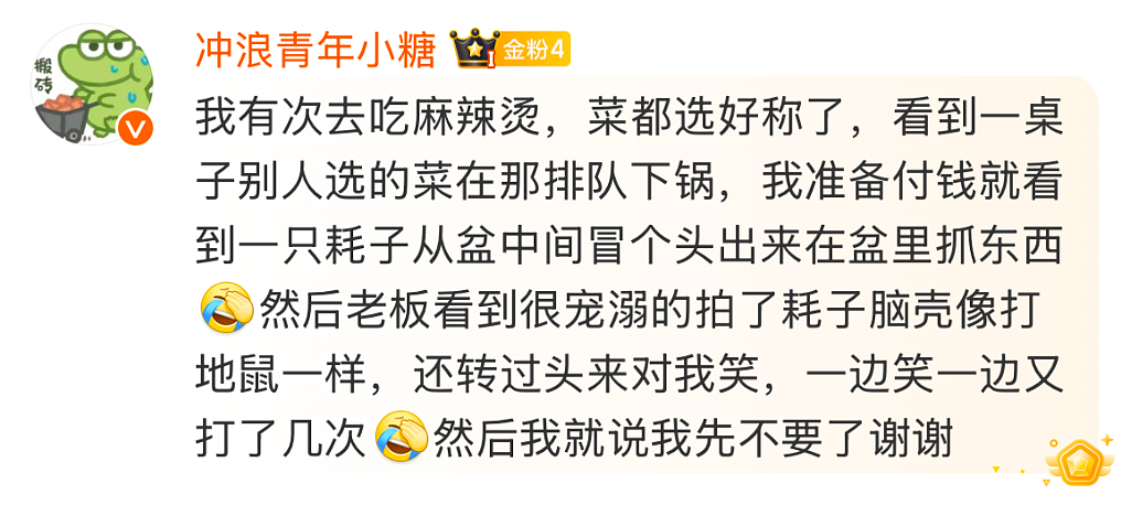 【爆笑】在医院检查出雌雄同体后,被全网心疼了?一开始只关心生理结构,下一秒:这得绝育2次...(组图) - 39
