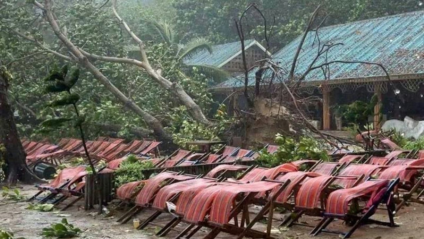 中国游客泰国遇暴风雨被大树砸死！女儿：原定次日回国（组图） - 5