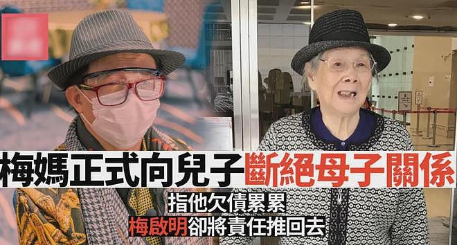娱圈争产堪比豪门!梅艳芳母亲想独占,侯佩岑母亲当小三继承大头(组图) - 8