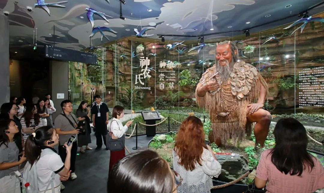 新西兰-中国深度合作,广东新地标诞生!刚刚开门,新西兰创意满满(组图) - 47