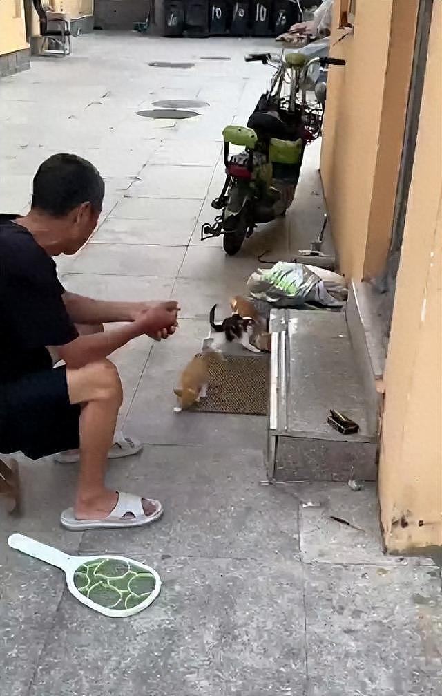 50岁保安提前1小时到岗猝死不算工伤？家属：当日最高气温超40℃，保安亭和宿舍没空调（组图） - 3