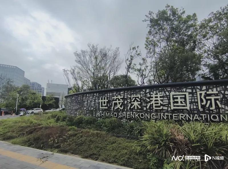 深圳第一烂尾楼：8年前239亿，如今三折被收回（组图） - 4