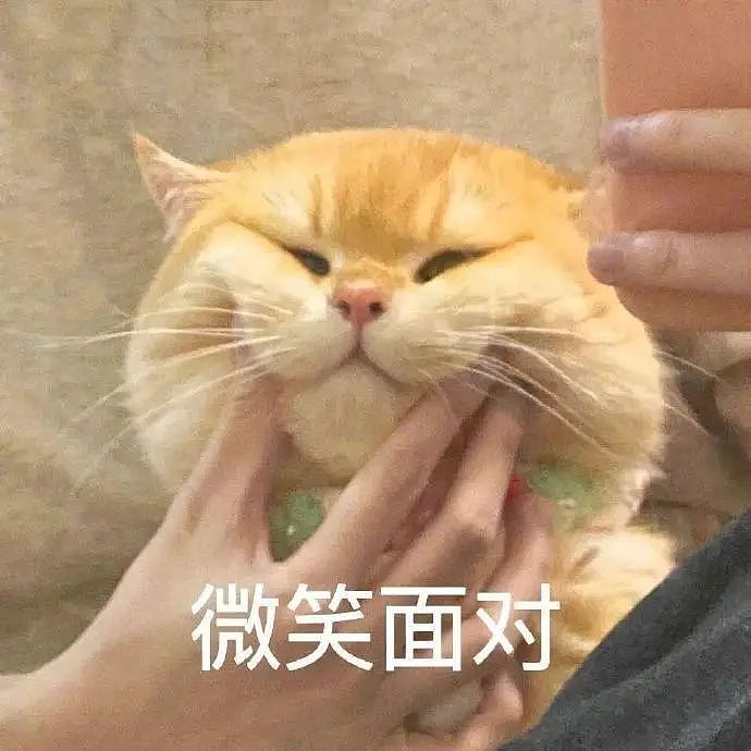 【爆笑】在医院检查出雌雄同体后,被全网心疼了?一开始只关心生理结构,下一秒:这得绝育2次...(组图) - 38