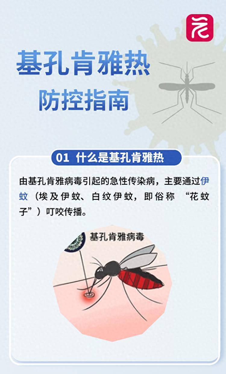 广东佛山确诊超2000例，基孔肯雅热如何预防？（组图） - 1
