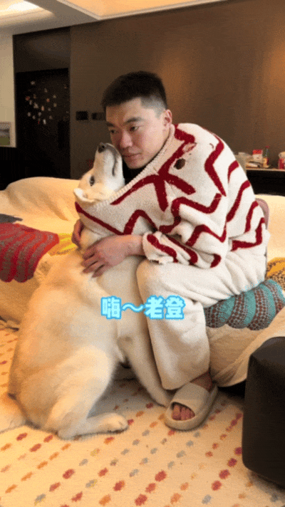 【宠物】狗子给主人爆改穿搭，被教育后不服气偷袭，直到邪恶穿搭计划成型才放嘴…（组图） - 7