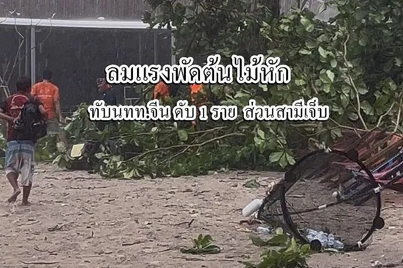 中国游客泰国遇暴风雨被大树砸死！女儿：原定次日回国（组图） - 2