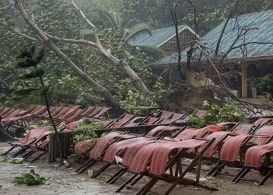 中国游客泰国遇暴风雨被大树砸死！女儿：原定次日回国（组图） - 1