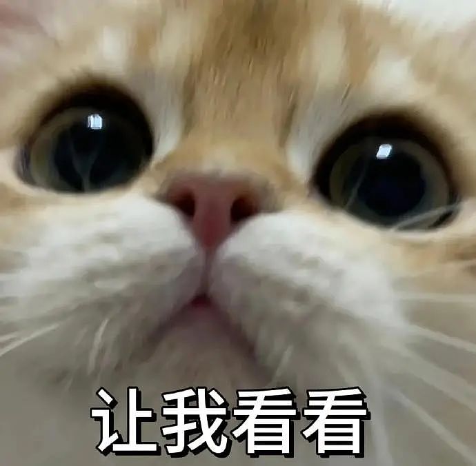 【爆笑】在医院检查出雌雄同体后,被全网心疼了?一开始只关心生理结构,下一秒:这得绝育2次...(组图) - 1