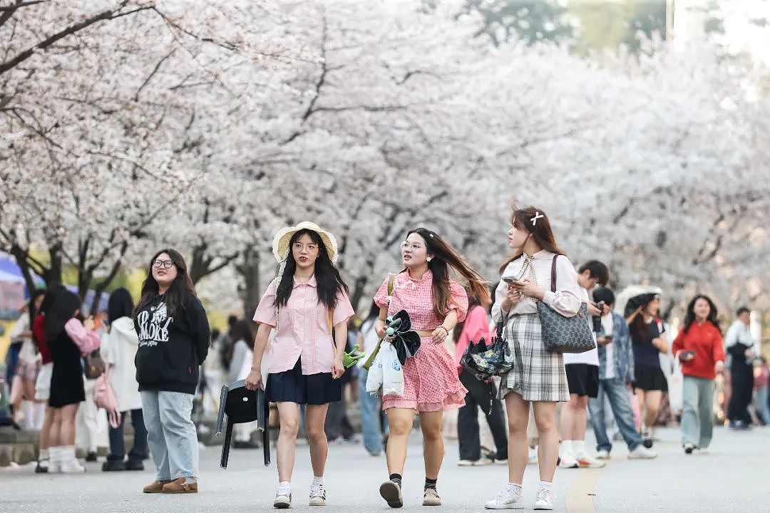 中国大学文科老师,正在“沦为”数据工人(组图) - 2