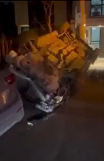 惊呆!墨尔本东南,昨夜4少女被捕,其中3人仅13岁(组图) - 3