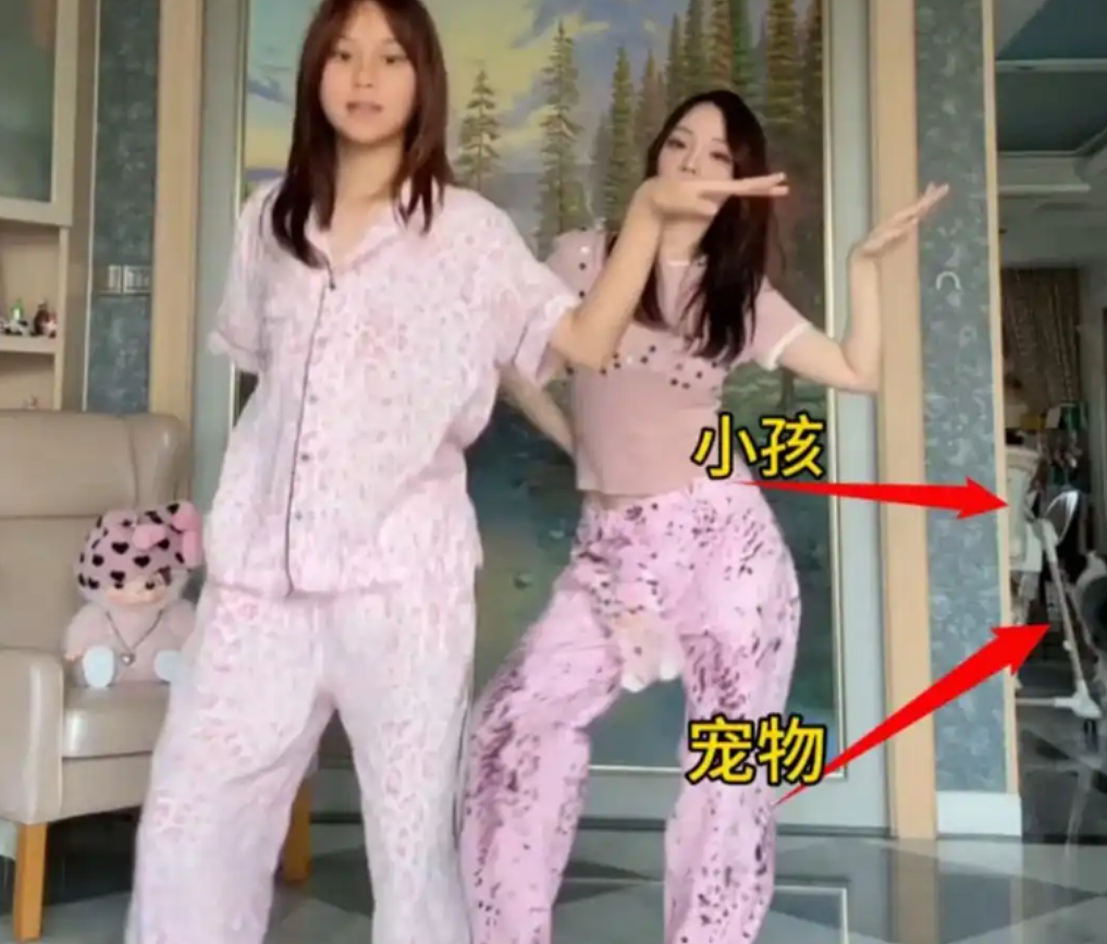 李小璐被曝生二胎了?家中惊现婴儿椅,网友化身福尔摩特(组图) - 2