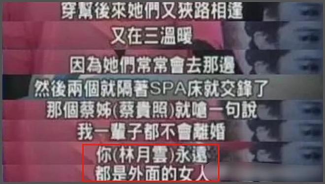 娱圈争产堪比豪门!梅艳芳母亲想独占,侯佩岑母亲当小三继承大头(组图) - 13