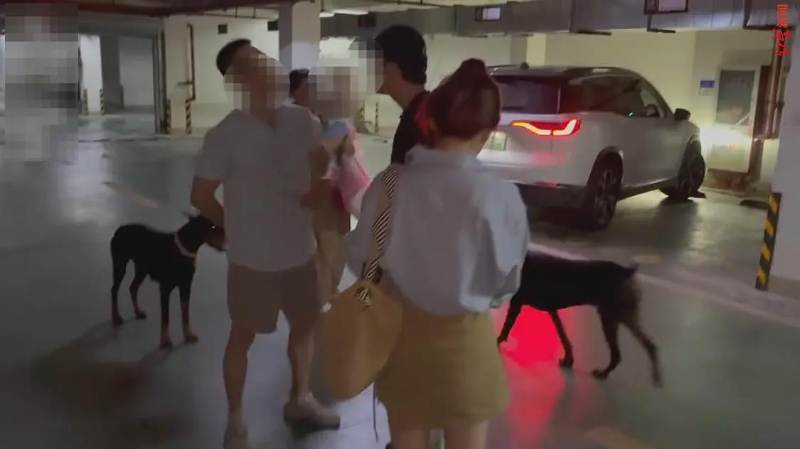 两杜宾犬没拴绳引口角，狗主反呛“咬你了吗”（组图） - 1