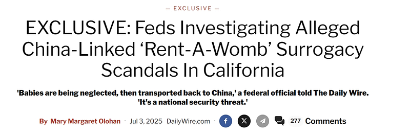 更多细节曝光！FBI调查“代孕21娃”华裔夫妇，外媒称“或涉买卖婴儿”（组图） - 2