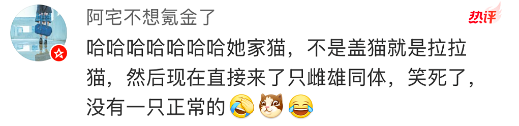 【爆笑】在医院检查出雌雄同体后,被全网心疼了?一开始只关心生理结构,下一秒:这得绝育2次...(组图) - 7