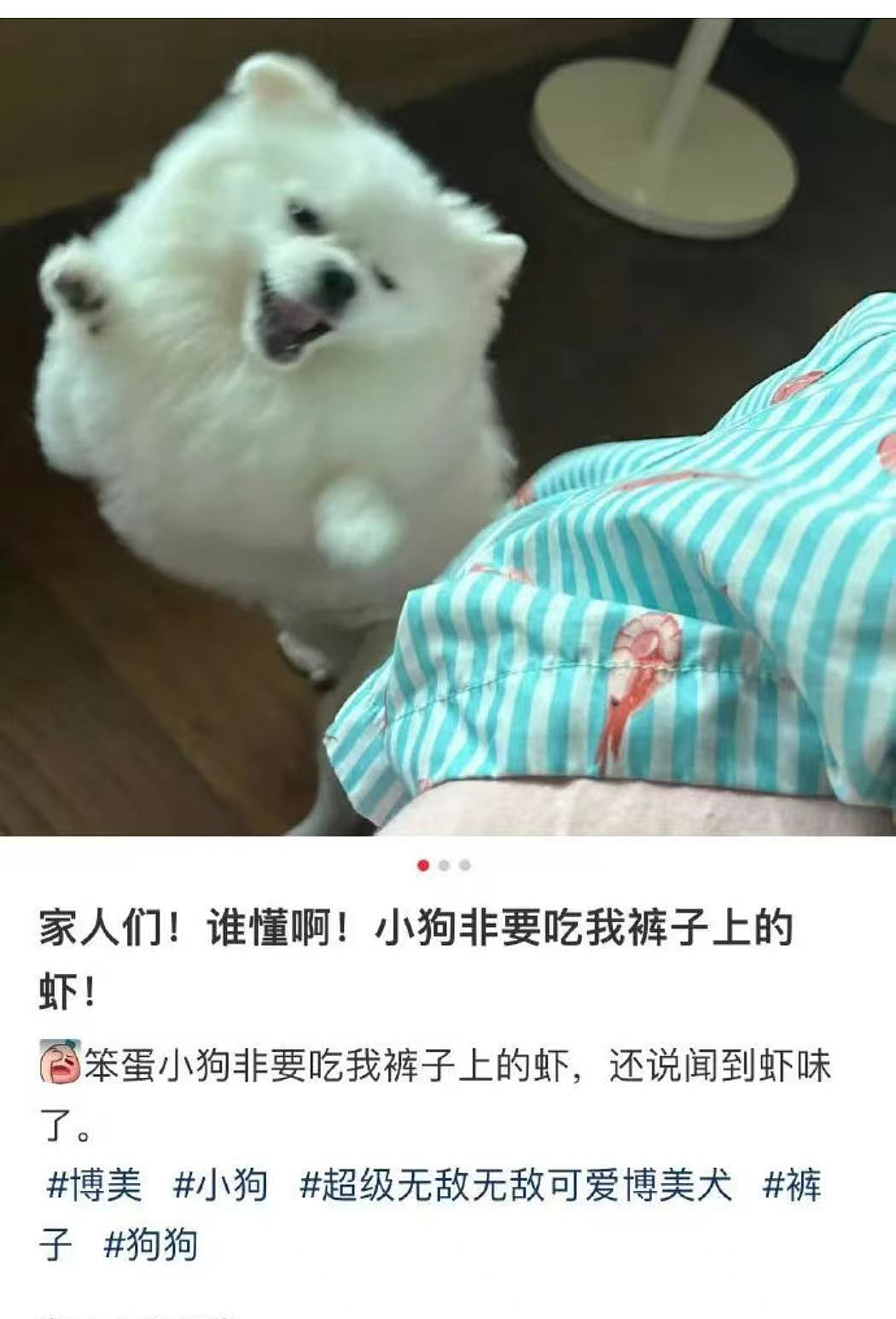 “给男友发暧昧信息却发给了爸爸…?”哈哈哈天塌了这个家待不下去了!(组图) - 20