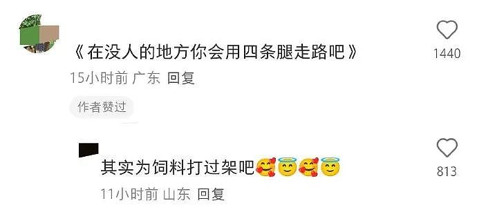 【爆笑】前男友给我发了52w，我该不该收？ 网友惊呆：能不能我帮你收（组图） - 57