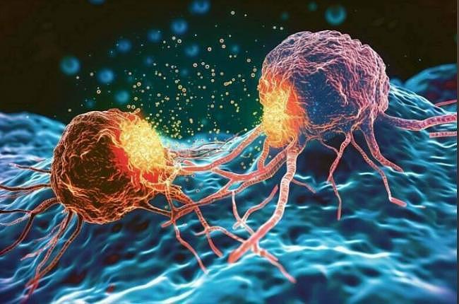 癌症治疗迎重大突破!科学家证实“通用疫苗”有谱了(图) - 1