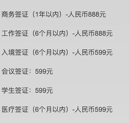 时隔近5年，重要大国恢复对中国公民开放旅游签证了（组图） - 3