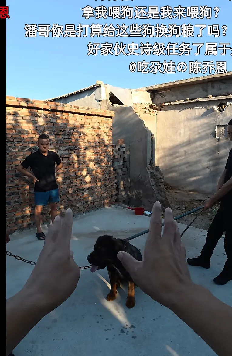 潘宏时隔8月复出喊冤,指责虐狗说是偏见,陈乔恩评论区再次沦陷(组图) - 7