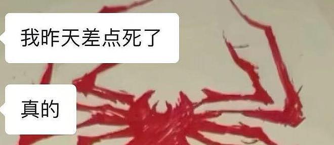 山西17岁高中生在柬埔寨失联月余，曾发消息称“回不来了记得照顾好我爸妈”（组图） - 5