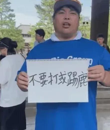 中国游客去奈良要小心了！那个碰瓷中国人的日本网红当上议员了，日本网友还很期待（组图） - 8