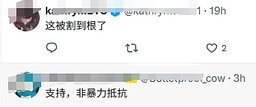 山东临沂树拍易购爆雷，上千投资者总部维权引发警民冲突，多人被逮捕（视频/组图） - 9