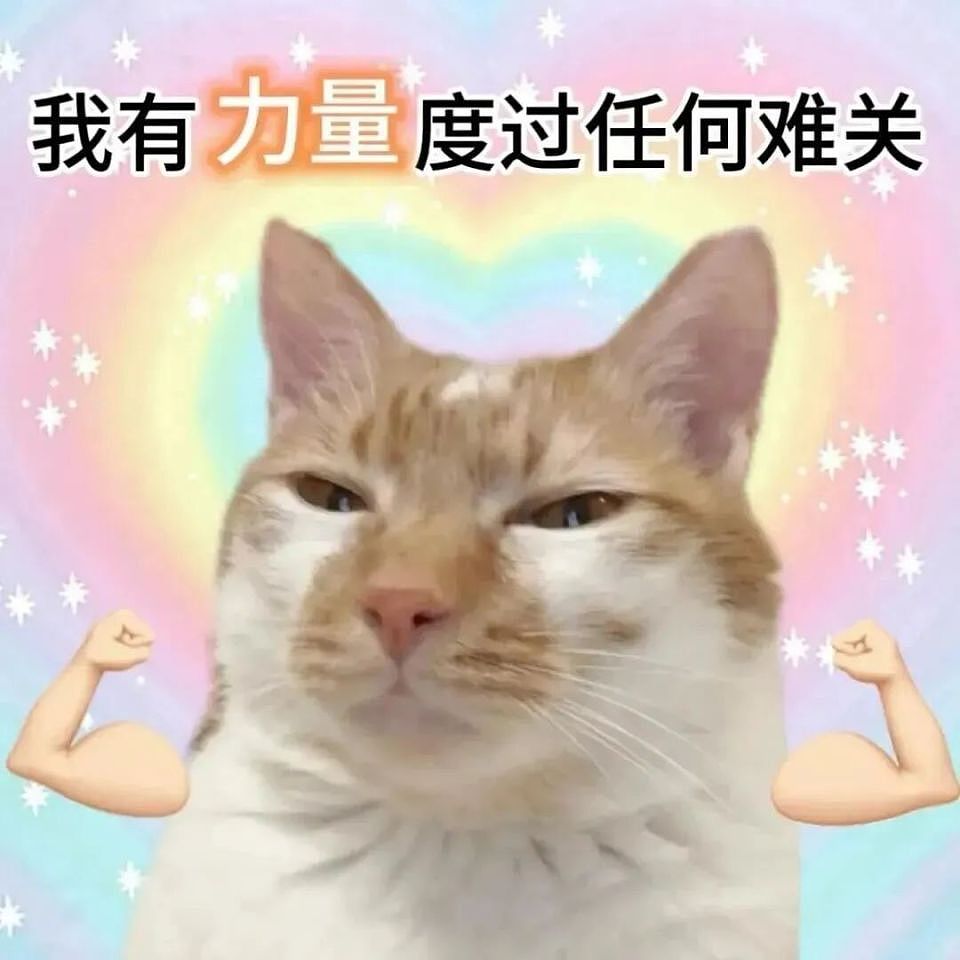 千万粉网红从未出过唱片，却戴面具不露脸开演唱会，一张门票价值968元，网友：真的有大冤种买单？（组图） - 12