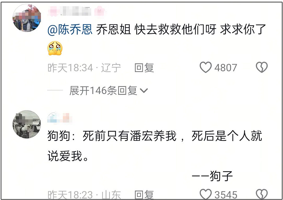 潘宏时隔8月复出喊冤,指责虐狗说是偏见,陈乔恩评论区再次沦陷(组图) - 12