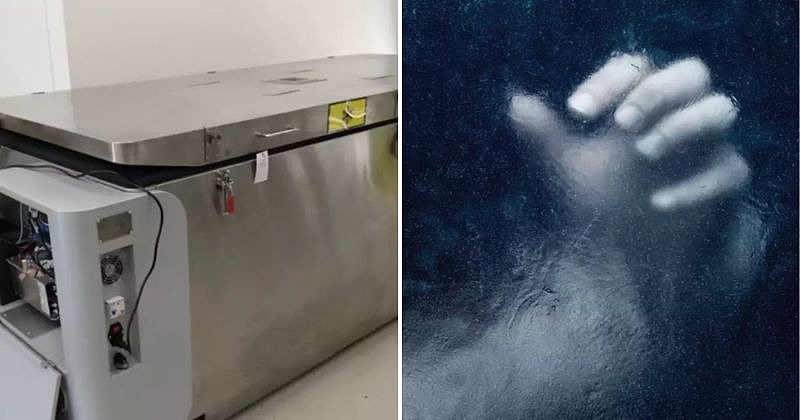 澳洲女子死前花巨款要冷冻遗体等复活？全球数百人躺冷罐盼续命，专家批：脑子都冻坏啦（组图） - 2