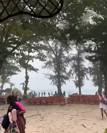 中国女游客泰国游玩被树砸倒不幸去世,女儿:特意安排的退休旅行,想让妈妈完整回家(组图) - 1