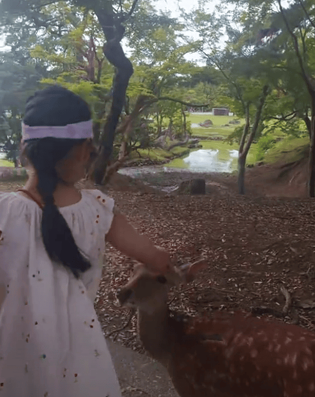 汪峰带4个孩子日本度假,醒醒和森林北女儿同龄,但性格差距明显(组图) - 10