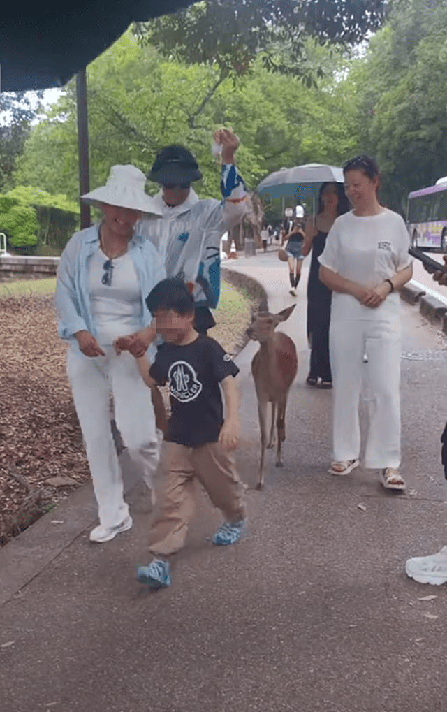 汪峰带4个孩子日本度假,醒醒和森林北女儿同龄,但性格差距明显(组图) - 4